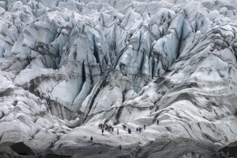 The 2026 GEST Fellows on Fláajökull with Dr. Þorvarður Árnason