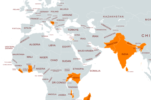 The fellows attending the 2024 GEST programme come from 14 different countries.