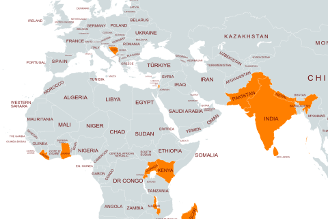 The fellows attending the 2024 GEST programme come from 14 different countries. 